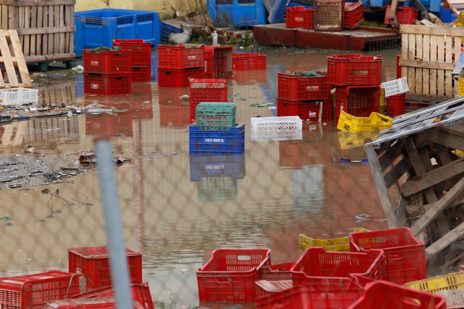Fotos de las consecuencias de la borrasca Francis en Tesorillo y Jimena