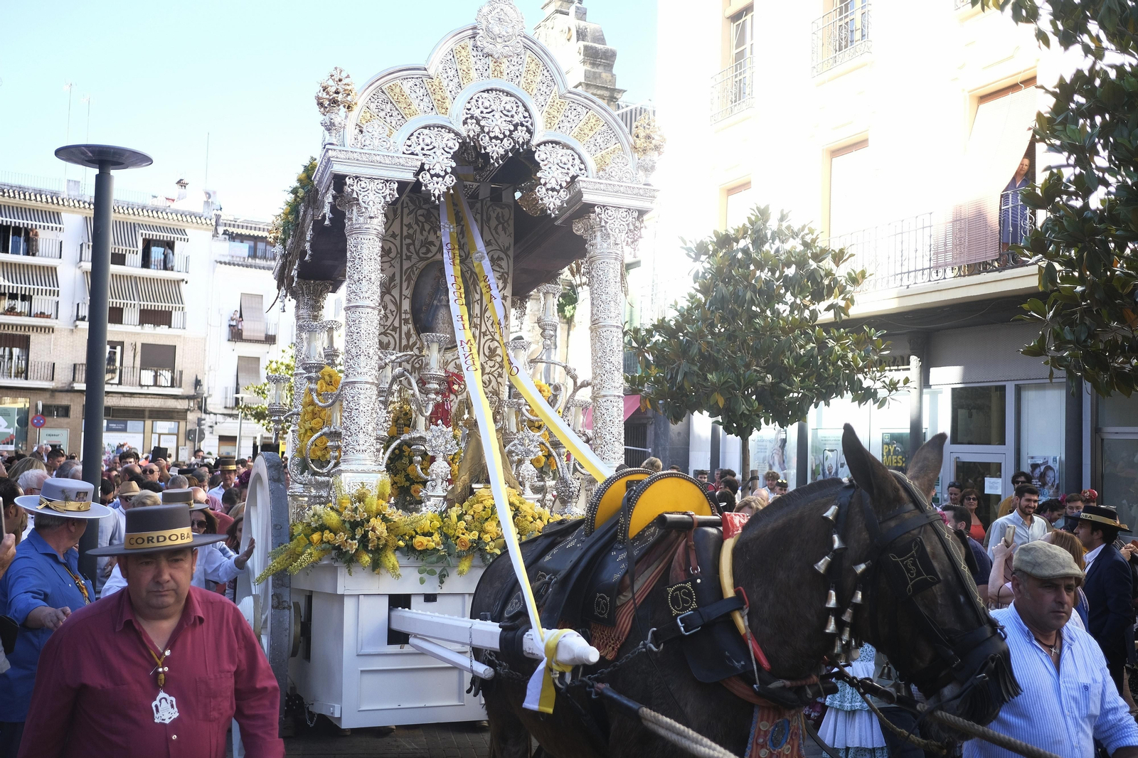 La emocionante salida de la Hermandad del Rocío de Córdoba,  en imágenes