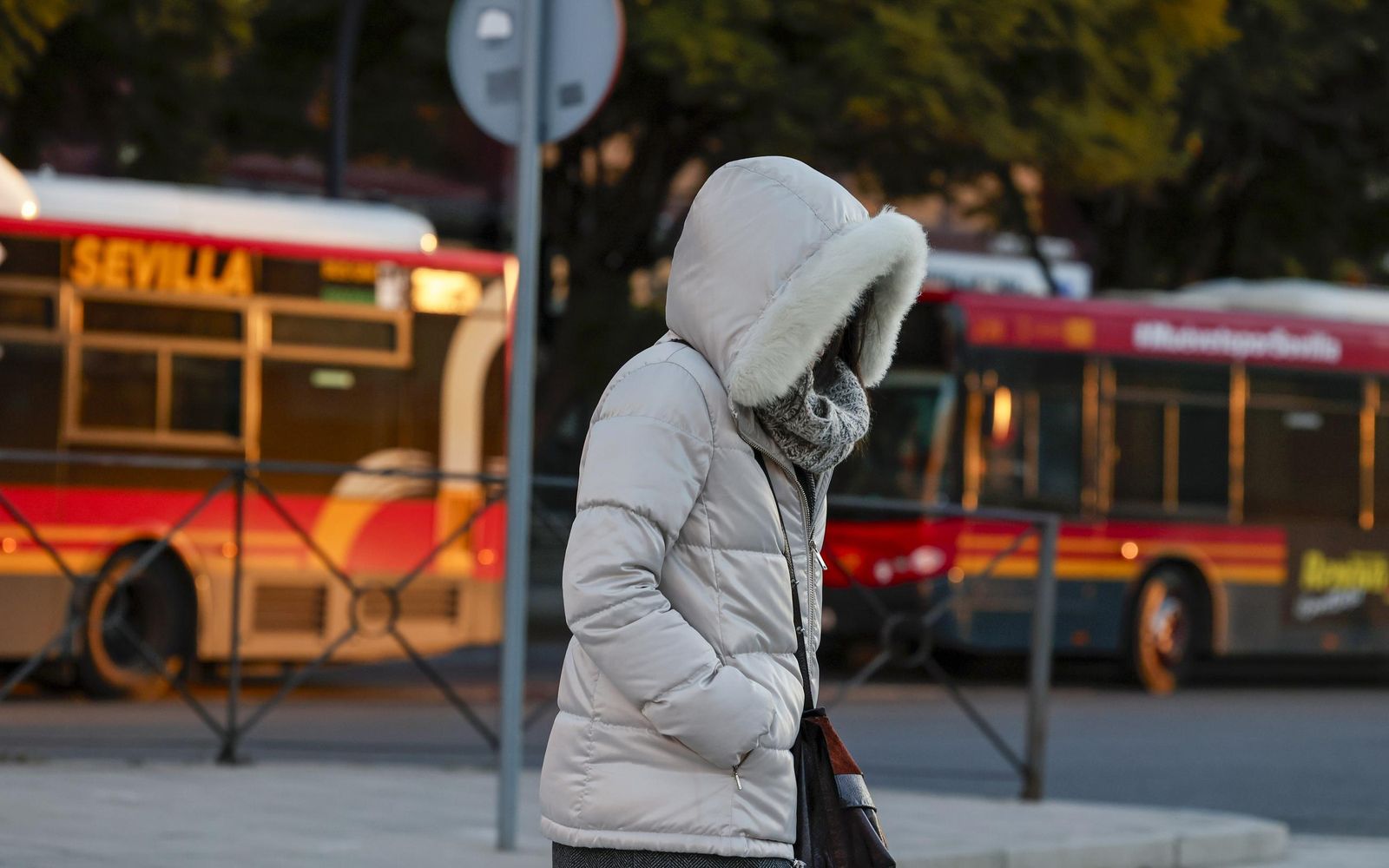 Las fotos del frío en Sevilla
