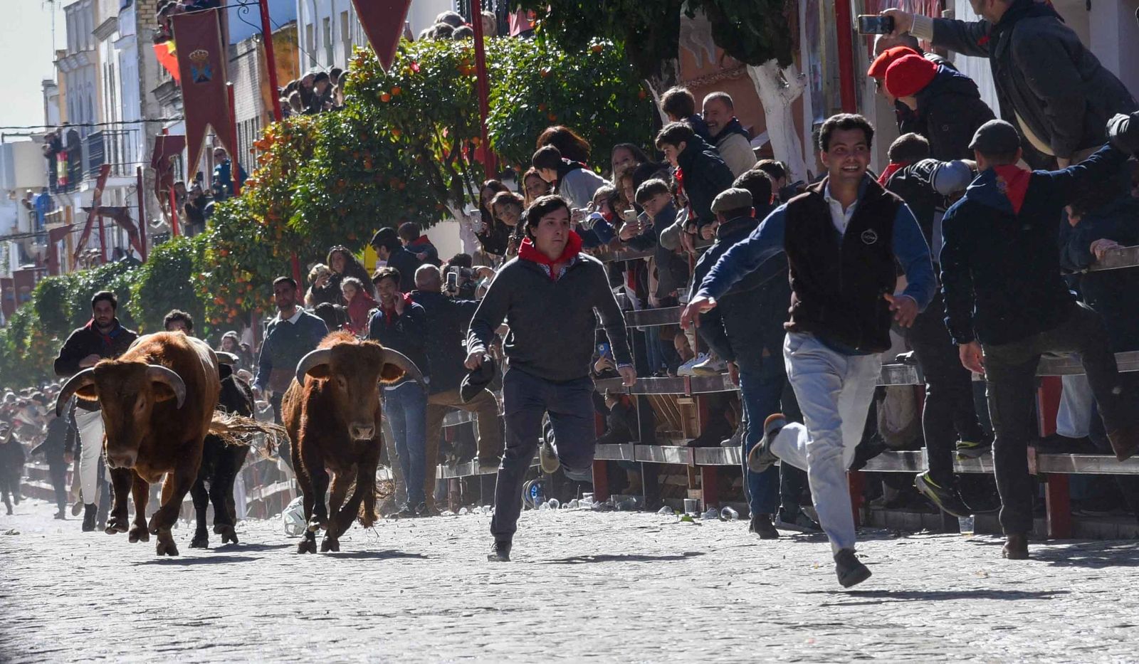 Las imágenes de los festejos de San Sebastián en La Puebla del Río 2026