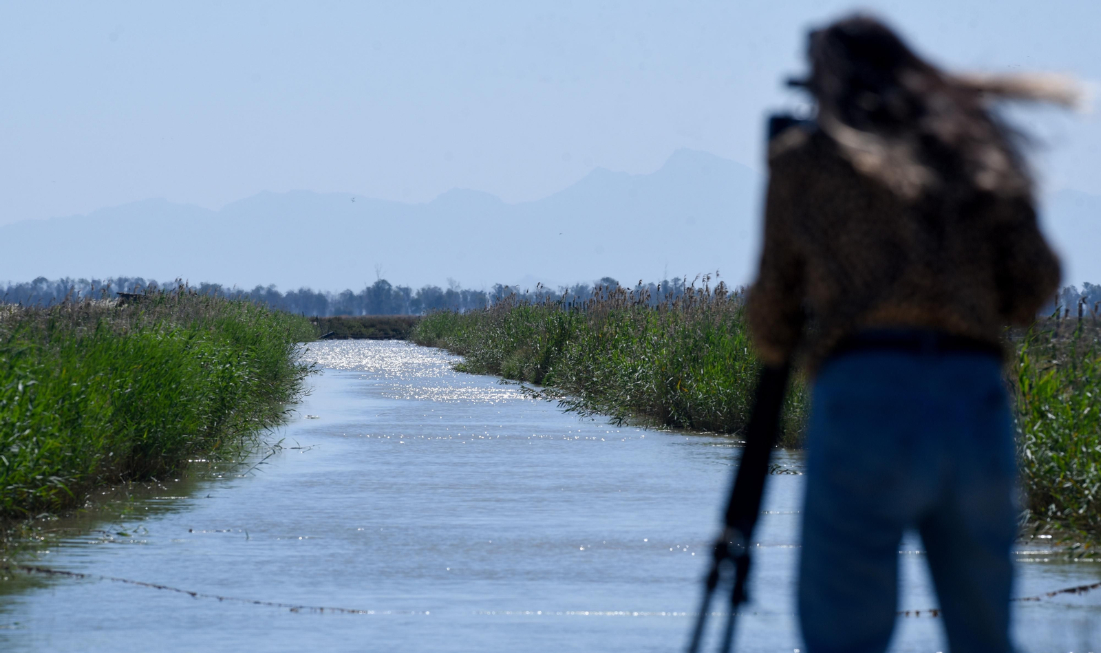 Imágenes de la finca Veta la Palma