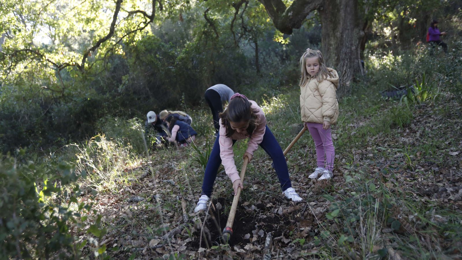 Jornada de reforestación en El Palancar por trabajadores de Acerinox, en imágenes