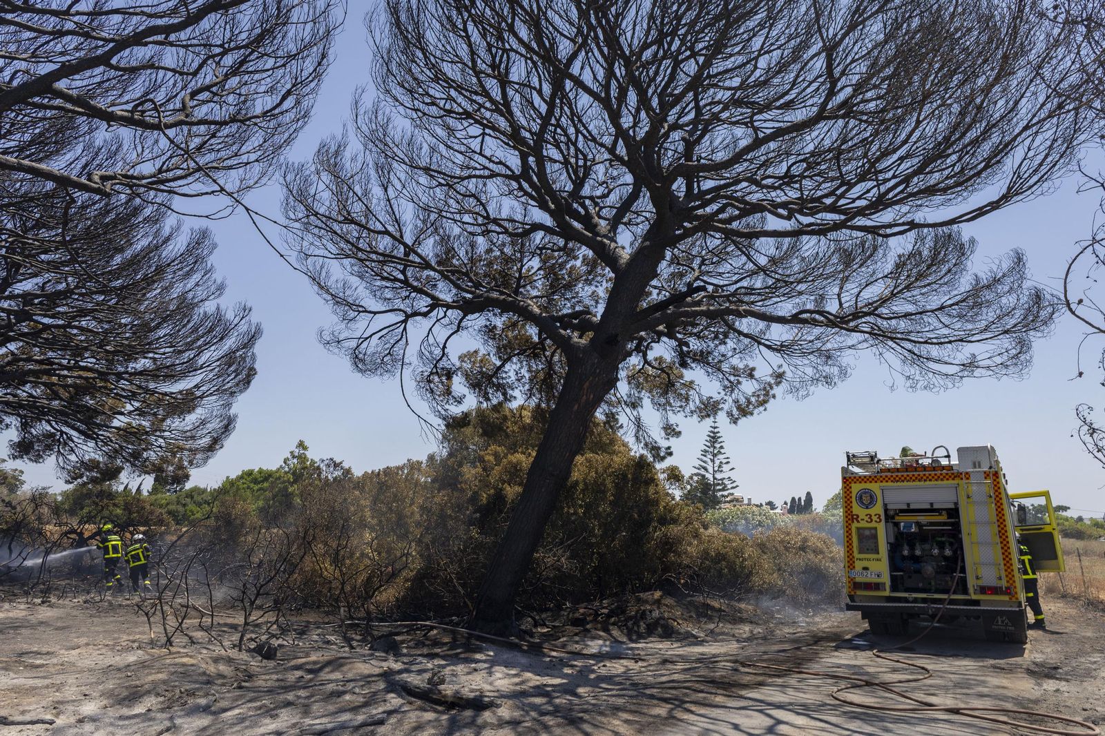 Las imágenes del incendio declarado junto a Roche, en Conil