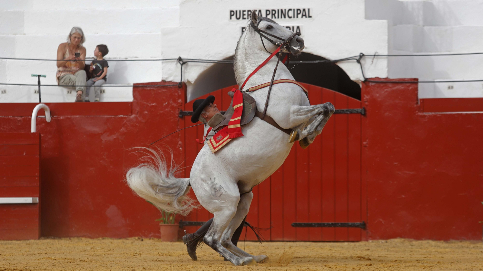 Fotos del espectáculo 'Cómo bailan los caballos andaluces' en San Roque
