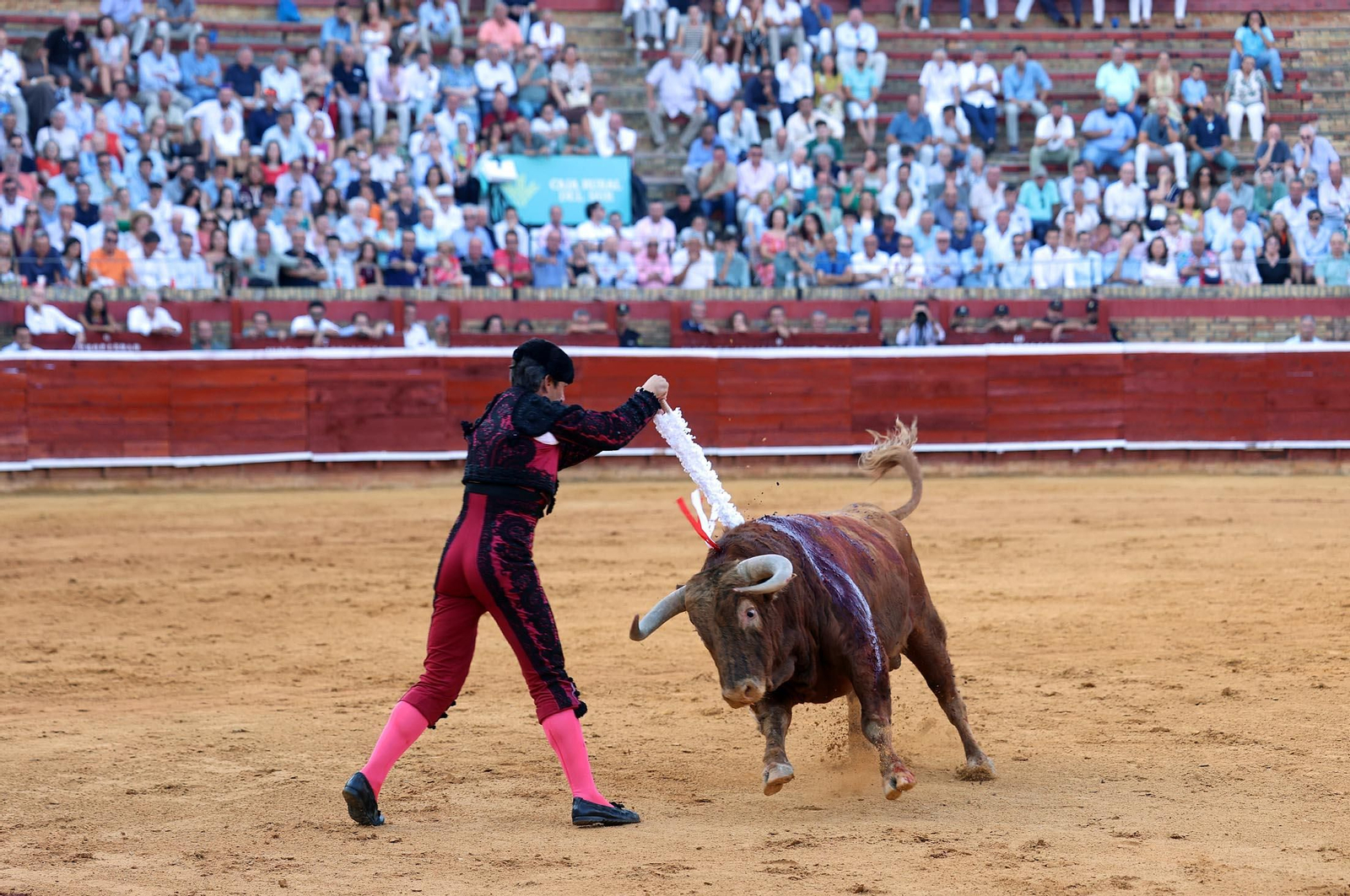 Toros La Merced 2025: Imágenes de la corrida de David de Miranda, Marco Pérez y Borja Jiménez