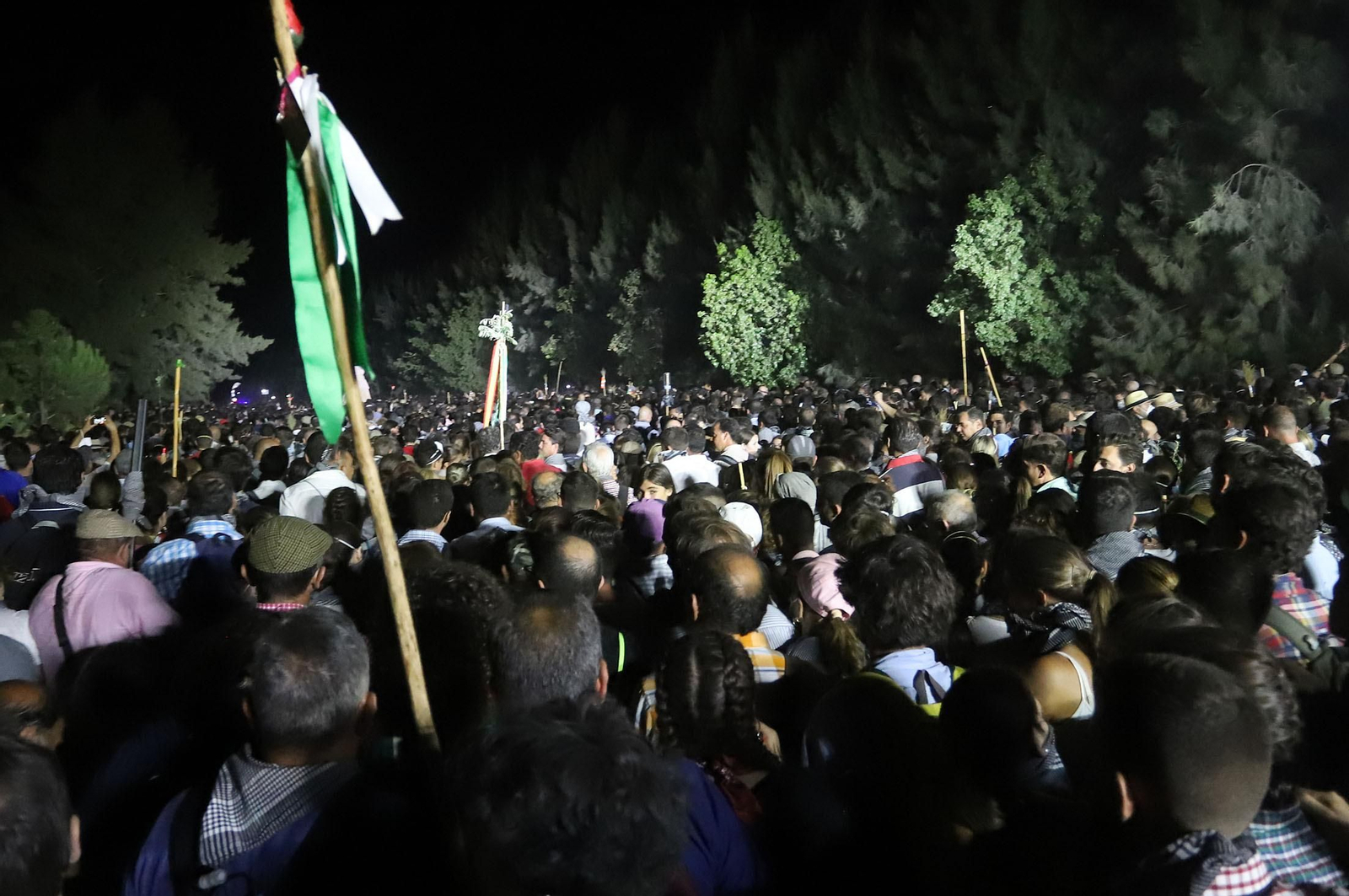 Recuerda las imágenes de la Venida de la Virgen del Rocío a Almonte en 2019