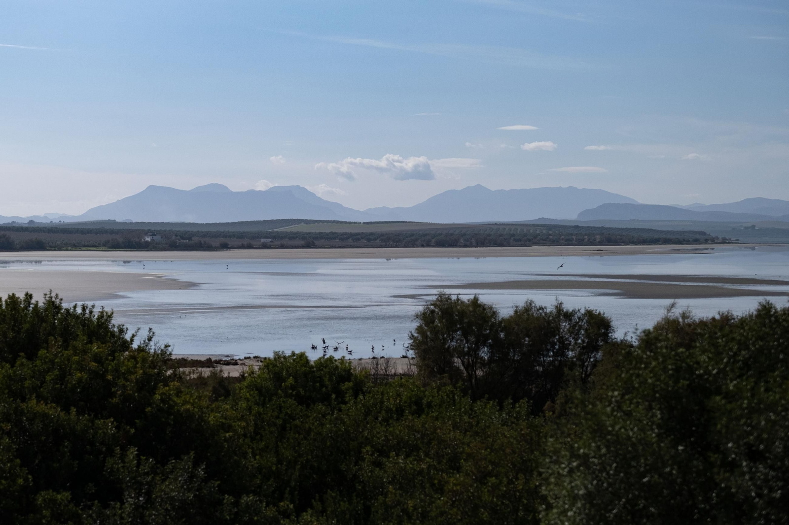 Laguna de Fuente de Piedra tras las lluvias, en fotos