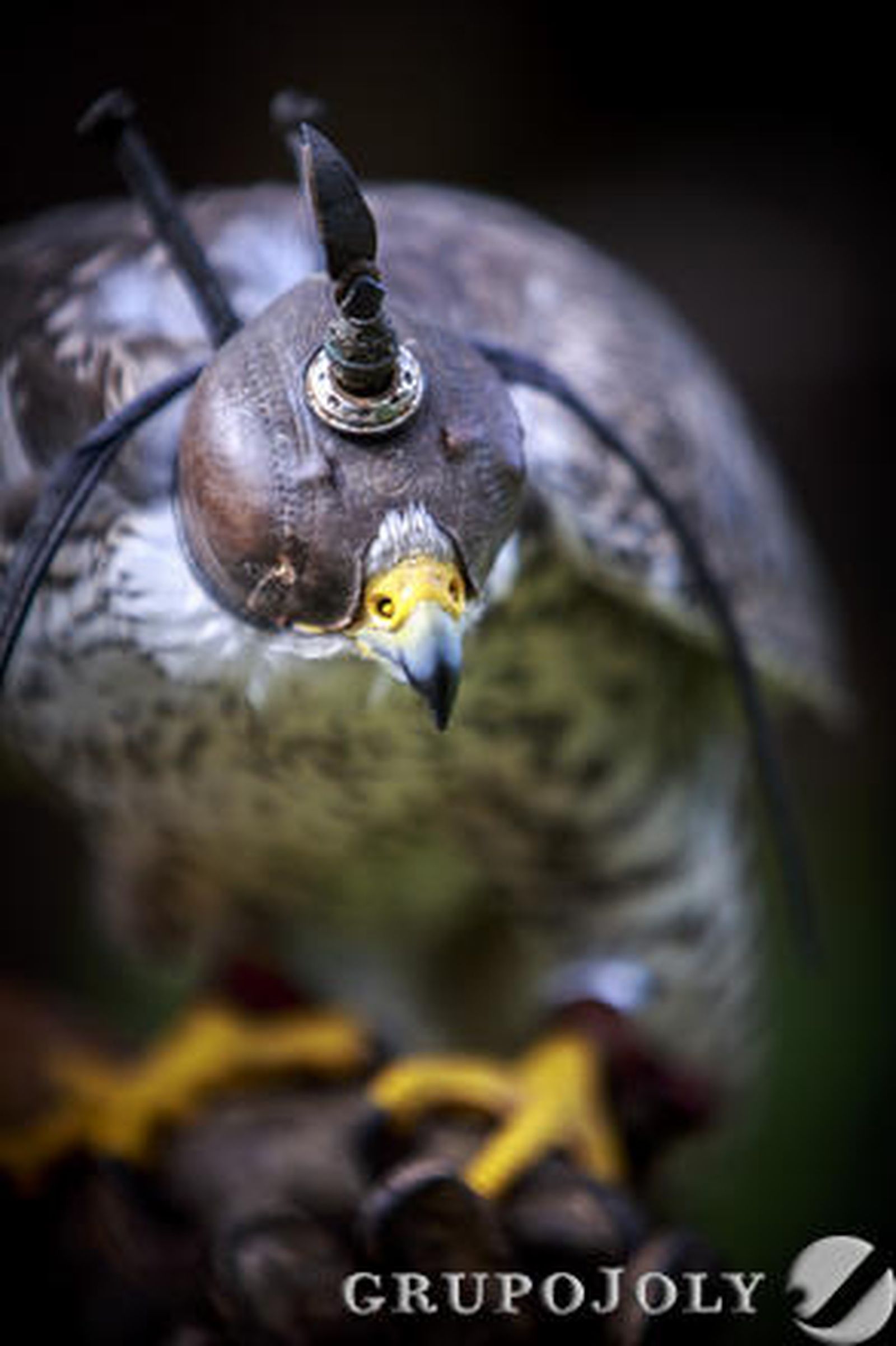 Foto: Julio Gonzalez