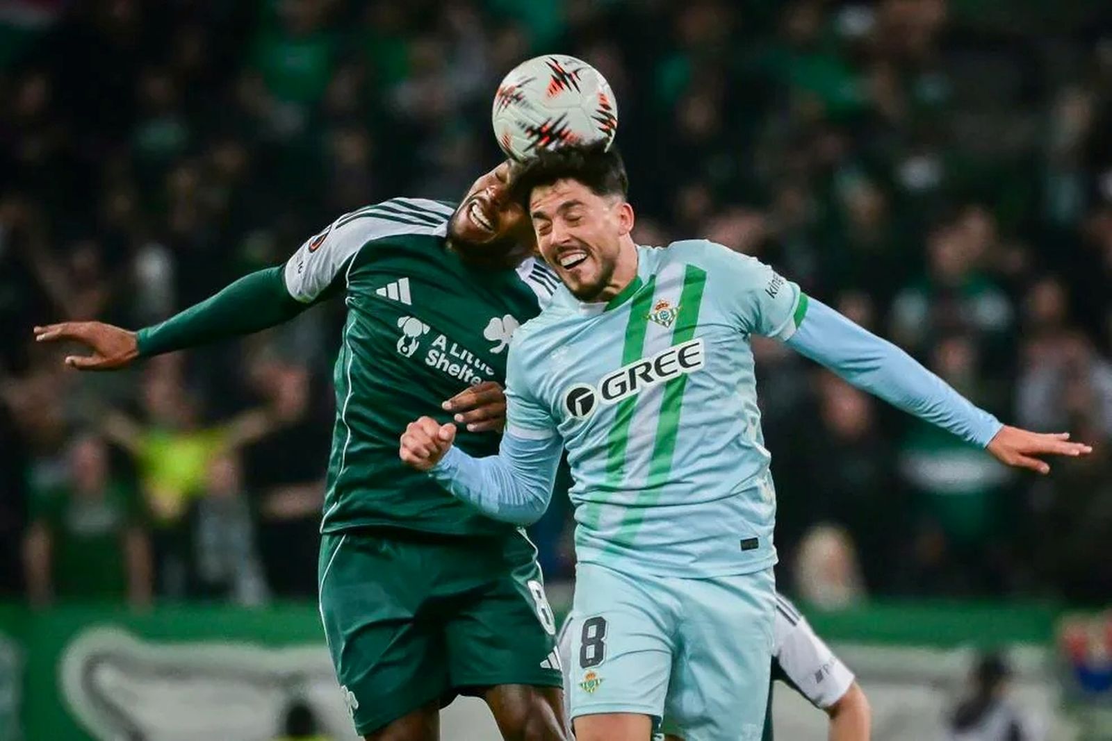 Las fotos del Panathinaikos-Betis