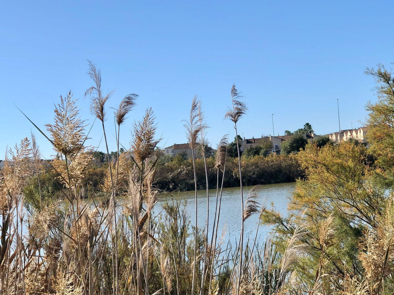 La Laguna de Torrox de Jerez: un paseo ideal para los amantes del aire libre