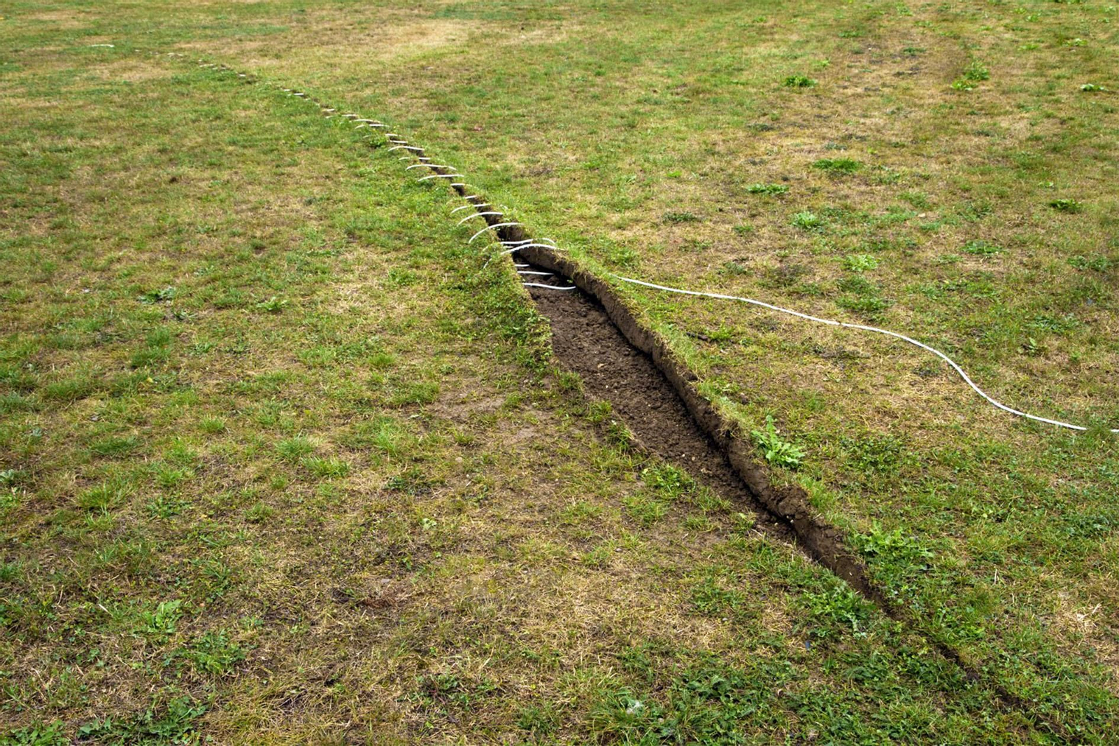 Imagen de una anterior edición de Agro Arte