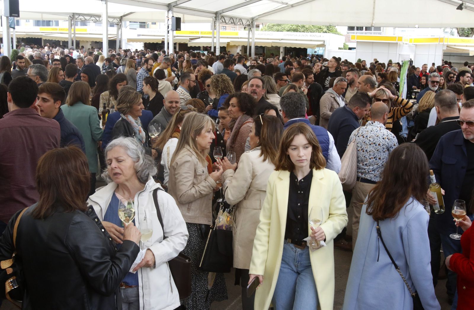 El sábado de la Cata del Vino Montilla-Moriles de Córdoba, en imágenes