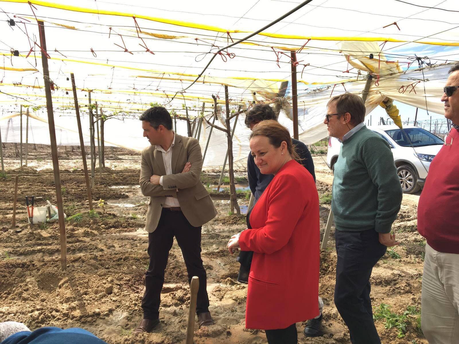 El alcalde, durante su visita a las explotaciones agrícolas que Torrebreva posee en la carretera de Munive.