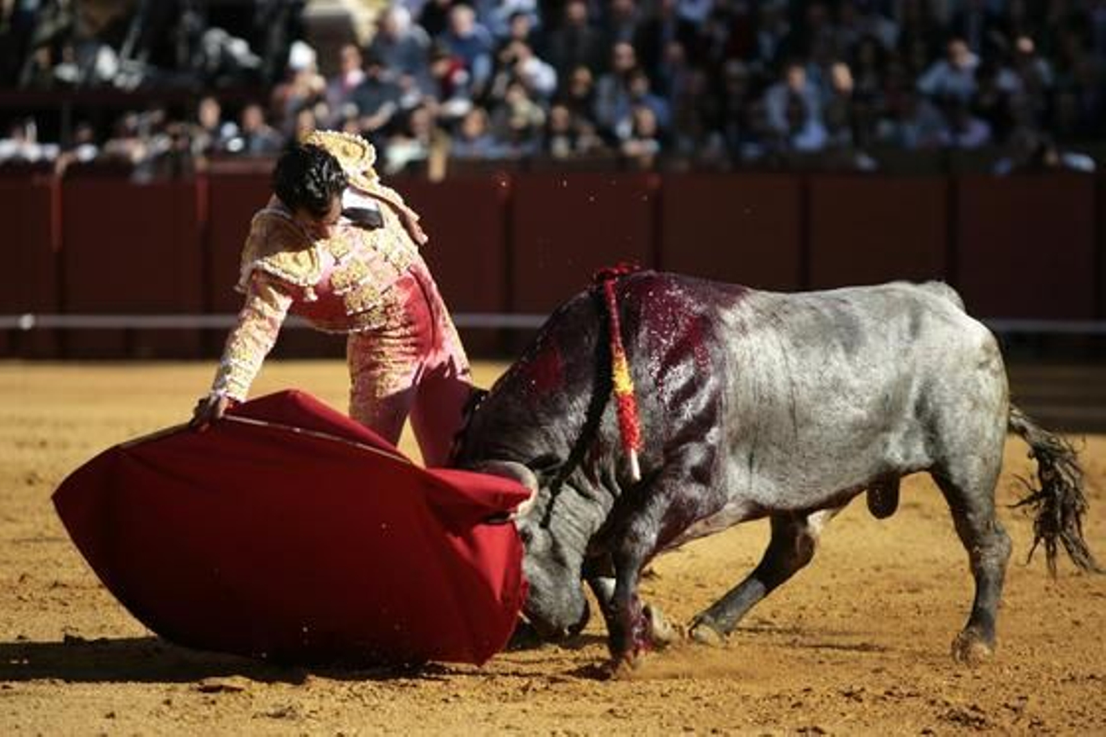 Foto: Juan Carlos Muñoz