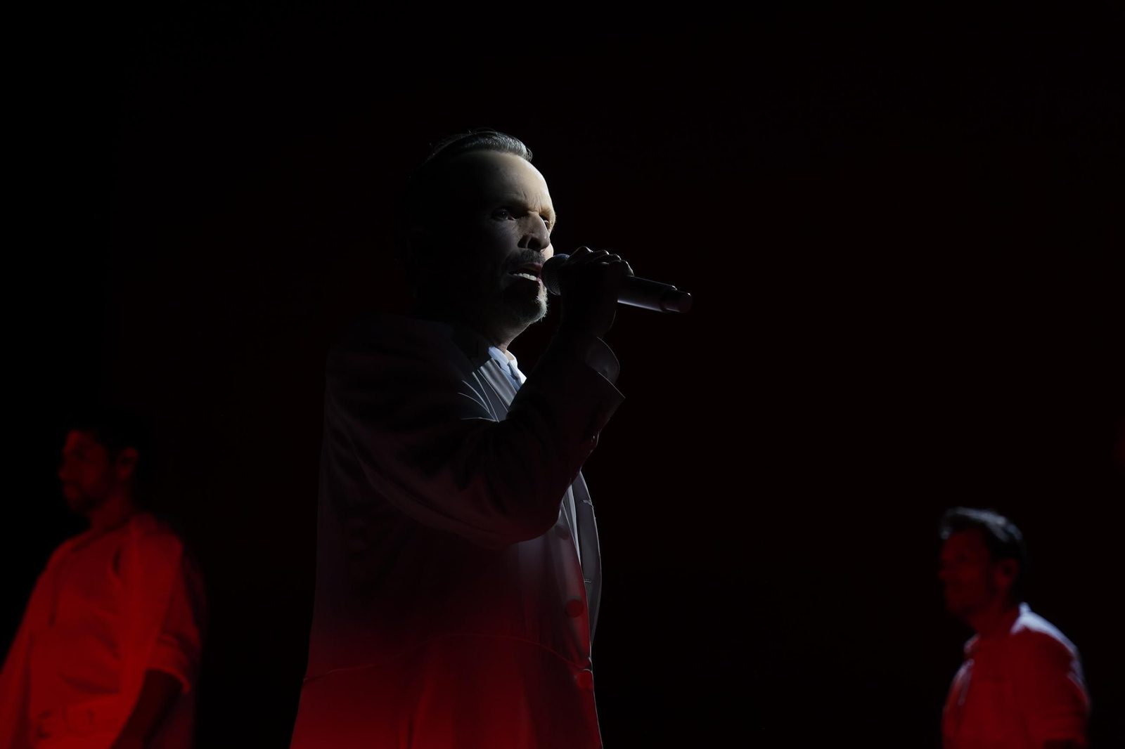 las imágenes del concierto de Miguel Bosé en Icónica