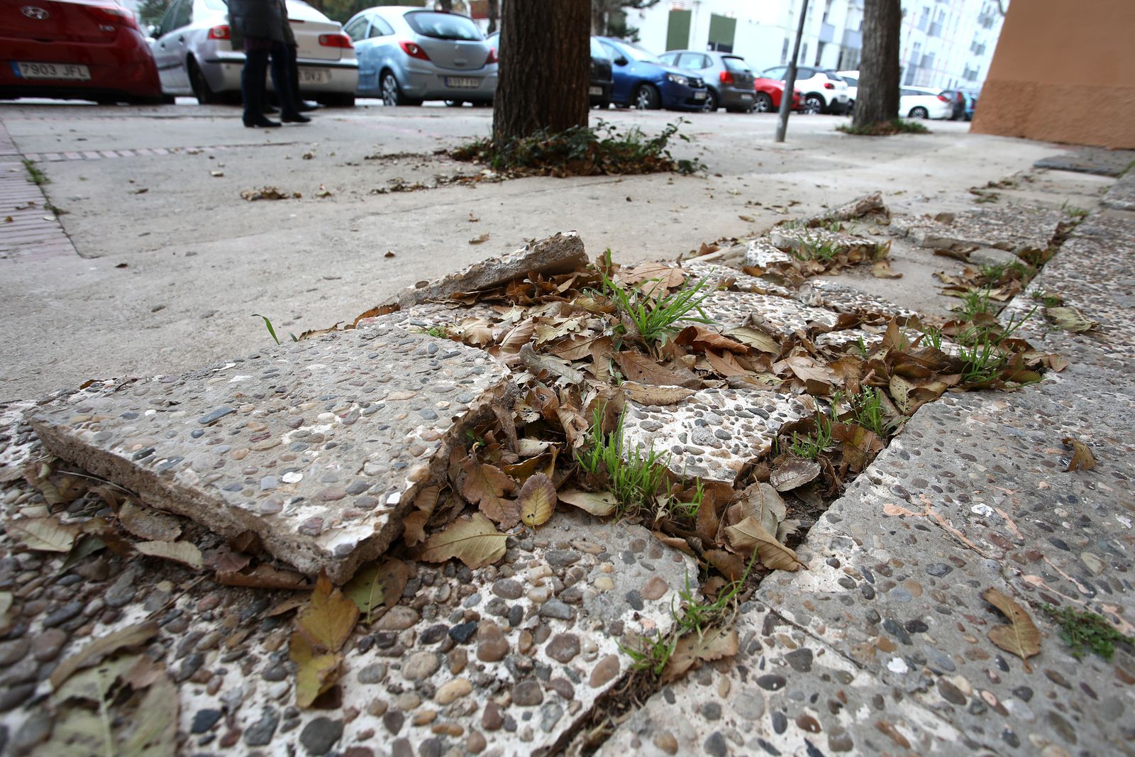 Pavimento levantado en una calle