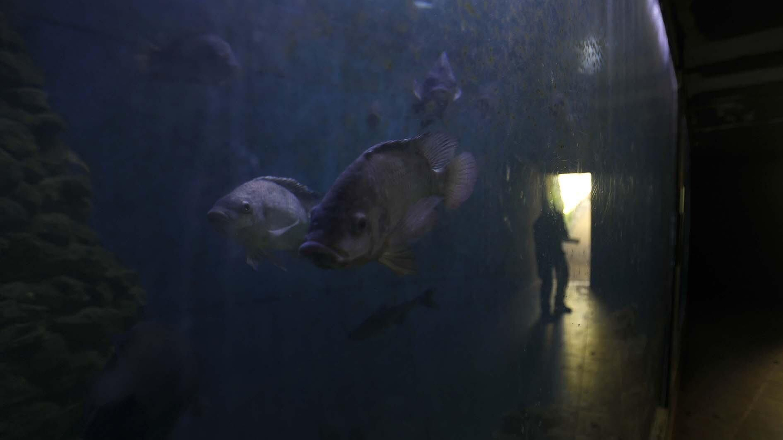 Las fotos del Zoo de Castellar de la Frontera