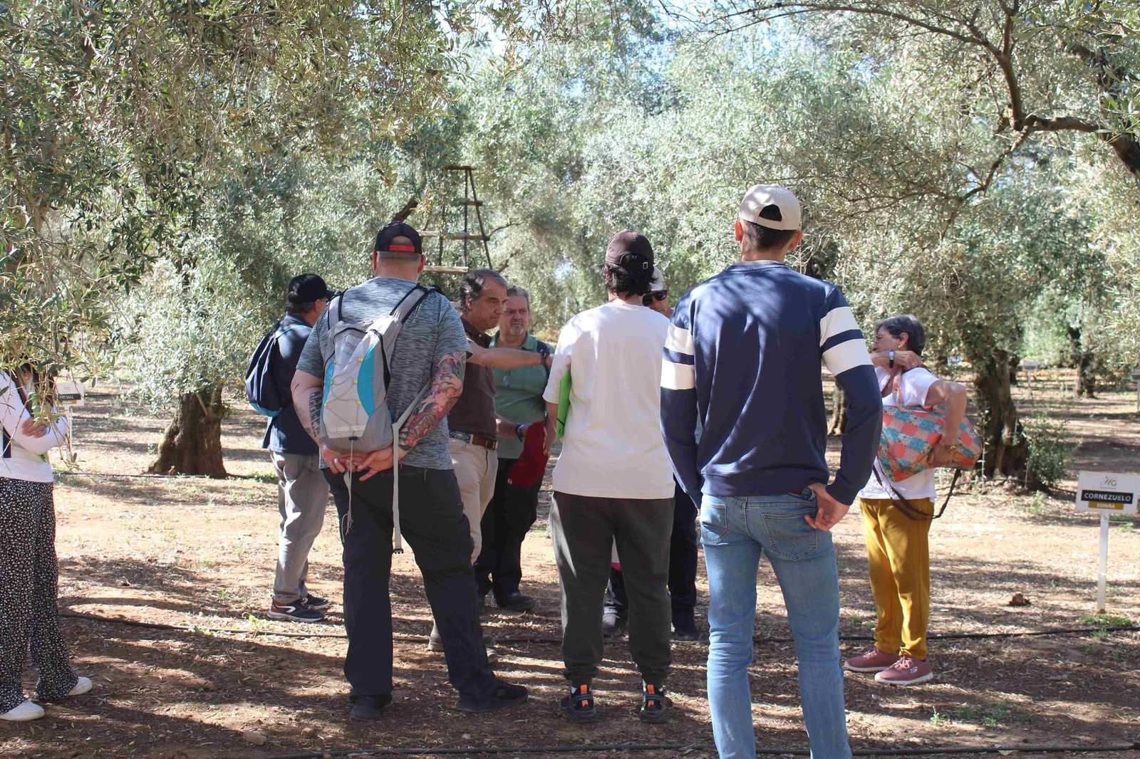 Vecinos de Palomares del Río en el curso sobre en el sector olivar.