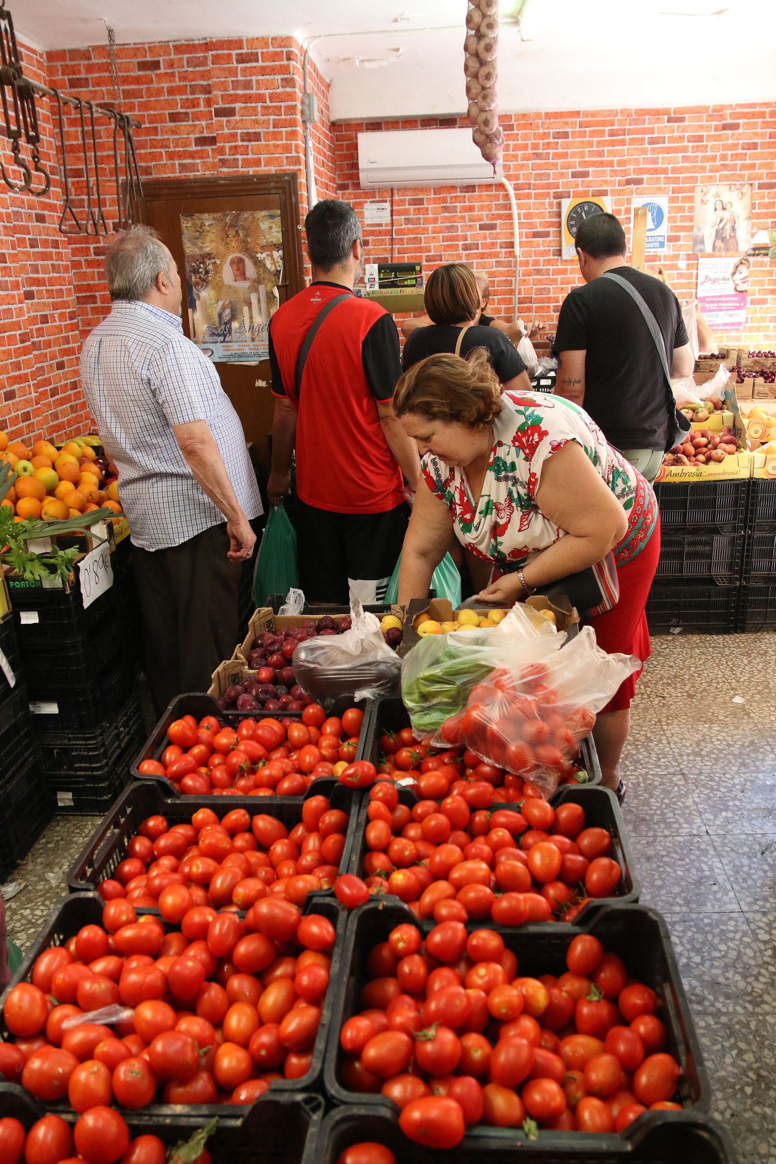El tomate, el gran referente de la huerta almeriense, autoservido por una mujer.