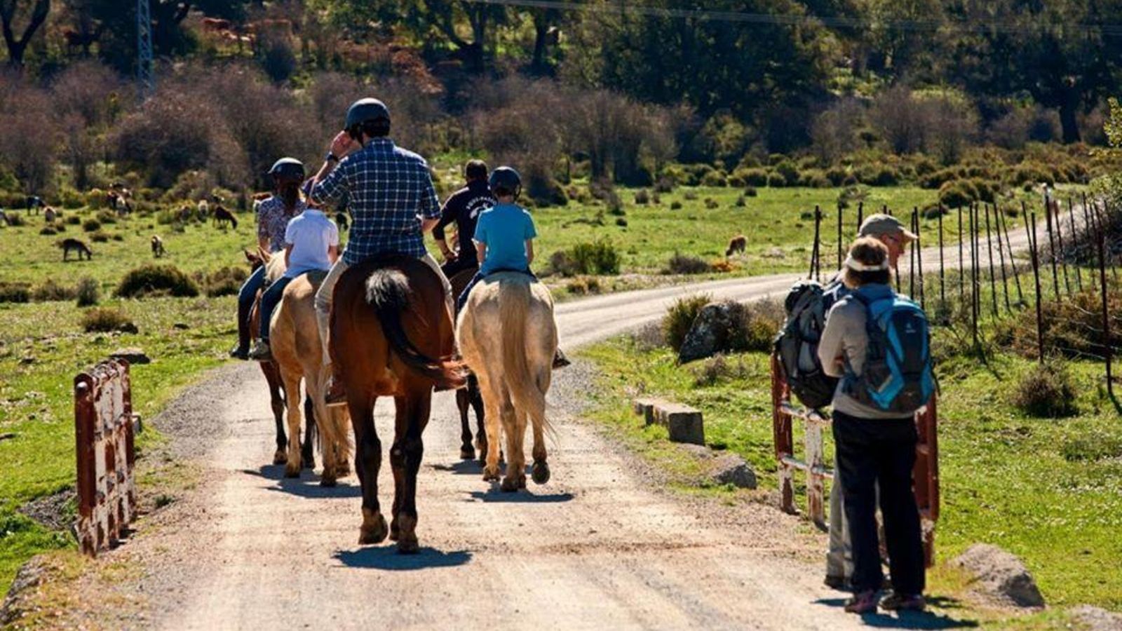Actividad ecuestre en el alojamiento Tambor del Llano, en Grazalema