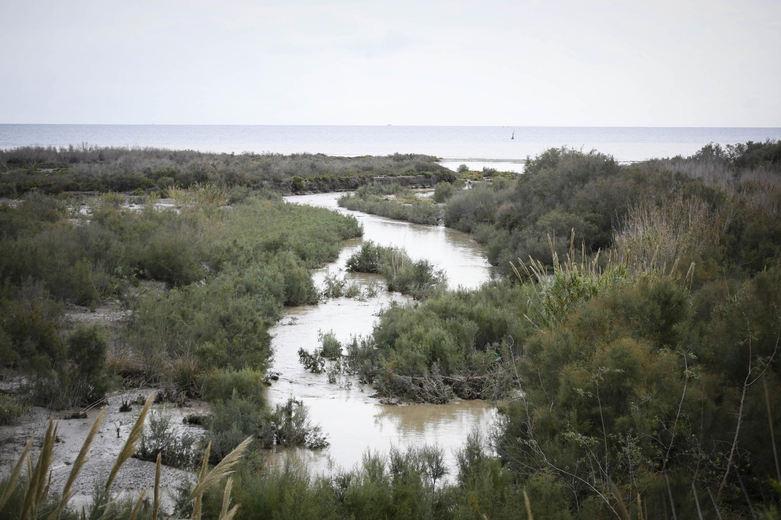 La desembocadura del río Andarax, en imágenes