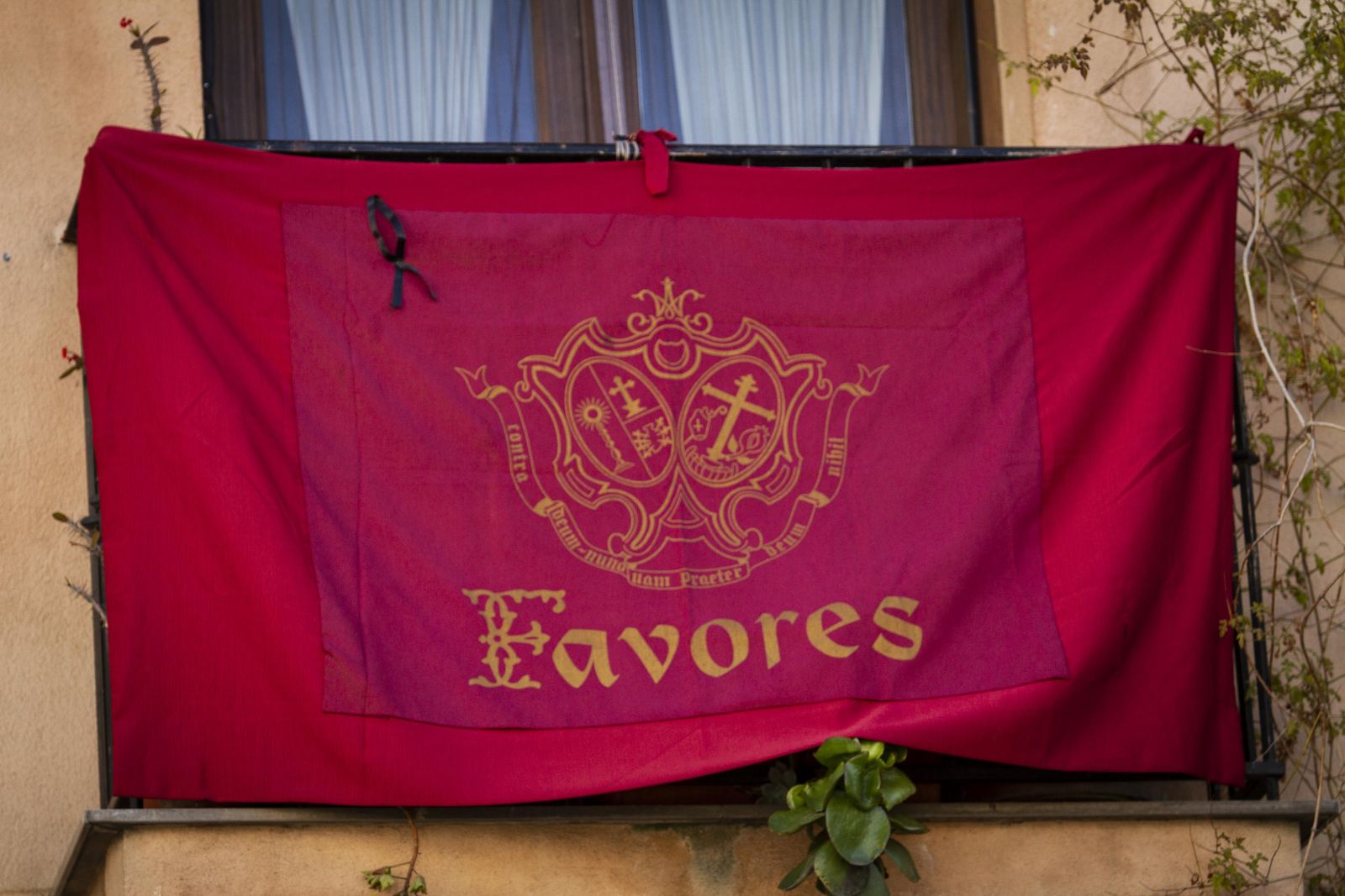 Fotos de Semana Santa: el Domingo de Ramos de Granada desierto por el coronavirus