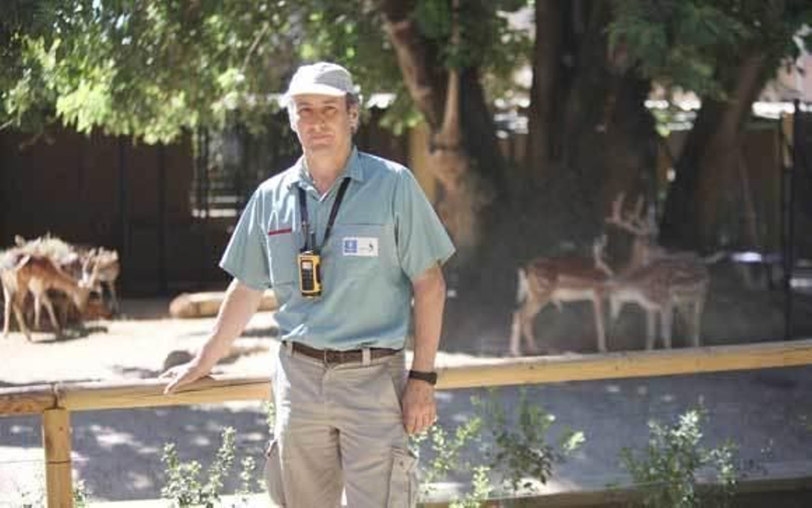 "Sin tigre blanco, la estrella del Zoo debe ser el lince ibérico" "Sin tigre blanco, la estrella del Zoo debe ser el lince ibérico"