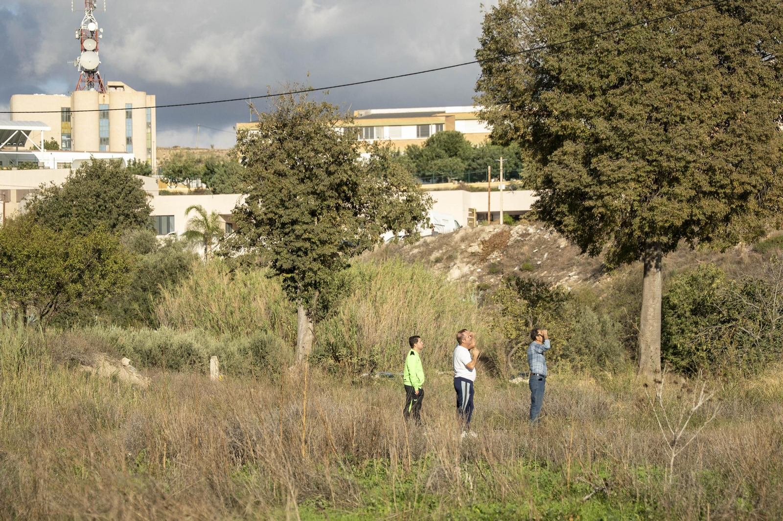 Las mejores imágenes de la suelta de palomos en la Feria de Albox