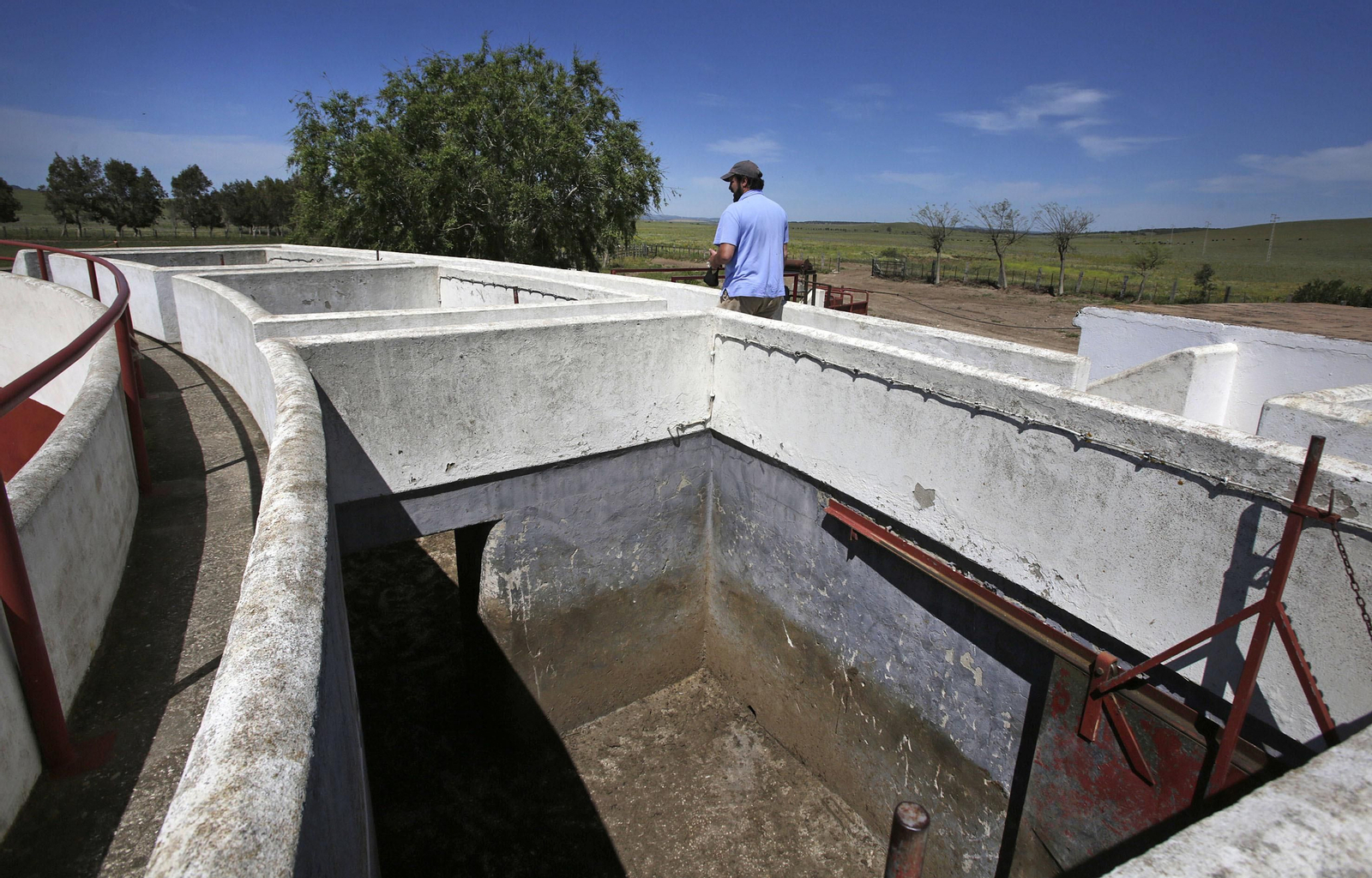 Mas cornadas da el virus, visita a la ganadería de Nuñez La Palmosilla