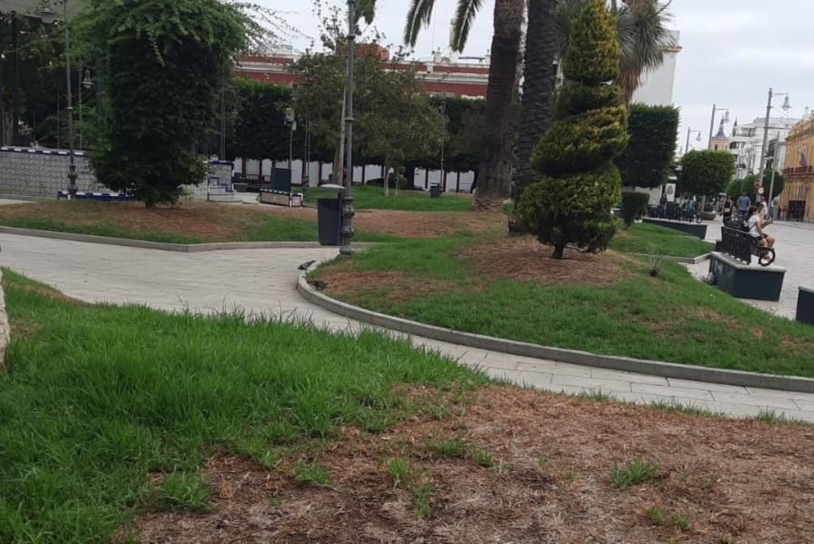 Jardines secos en la Alameda Moreno de Guerra Jardines secos en la Alameda Moreno de Guerra