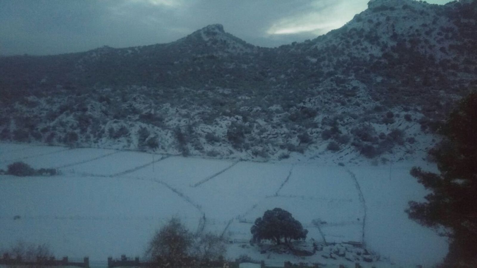 Imágenes de la nevada en la Sierra de Cádiz