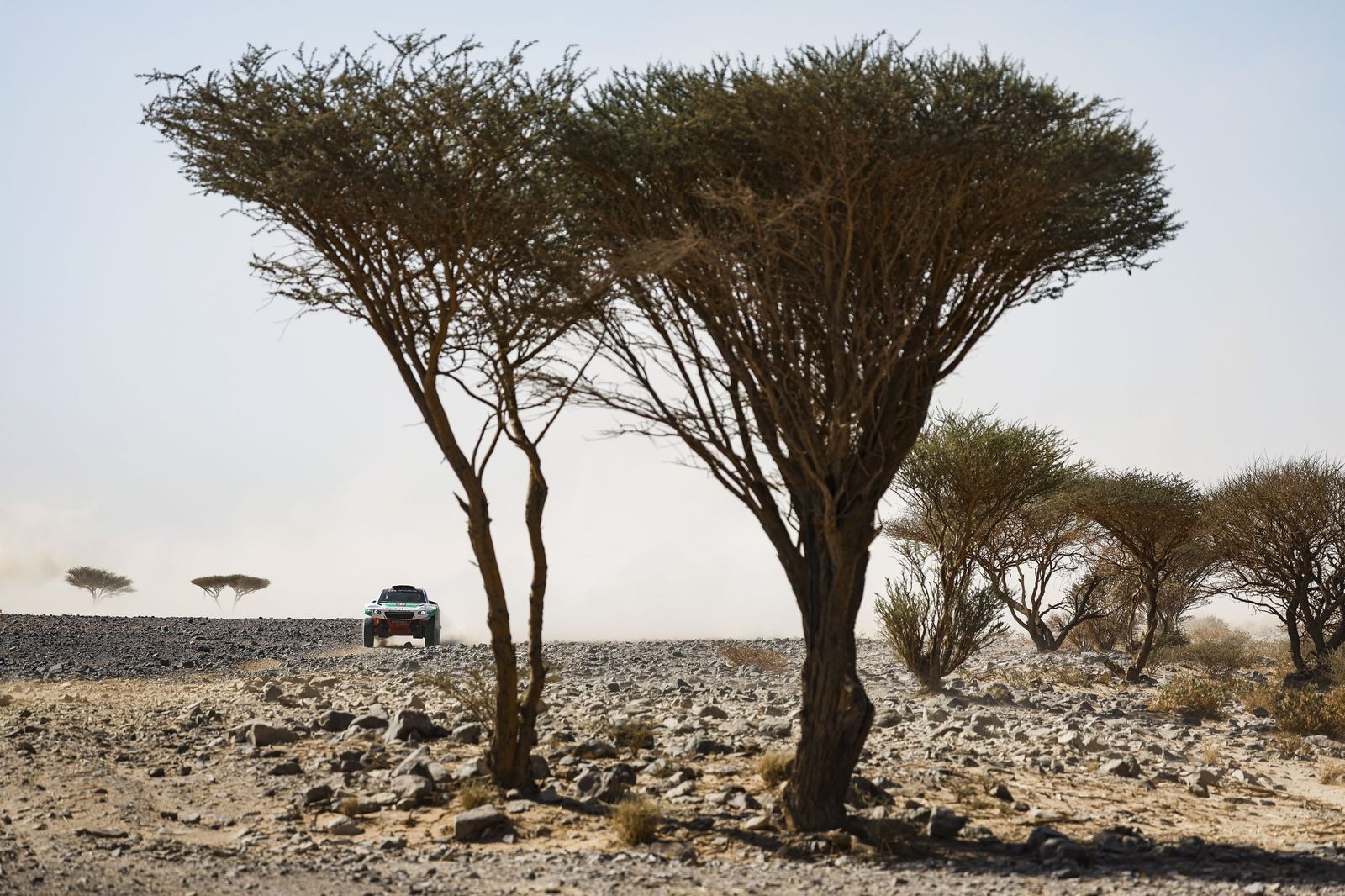 Las mejores fotos del Rally Dakar | Novena etapa