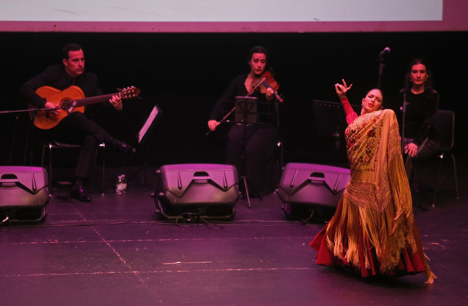 Fotos del espectáculo  'Esencia de Pasión' en La Línea