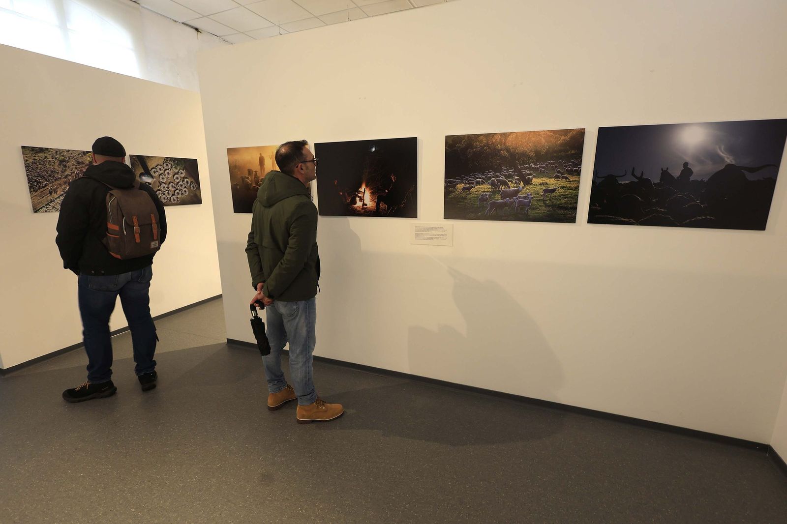 Fotos de la exposición 'Yerba, el corazón verde de la transhumancia' de Katy Muñoz