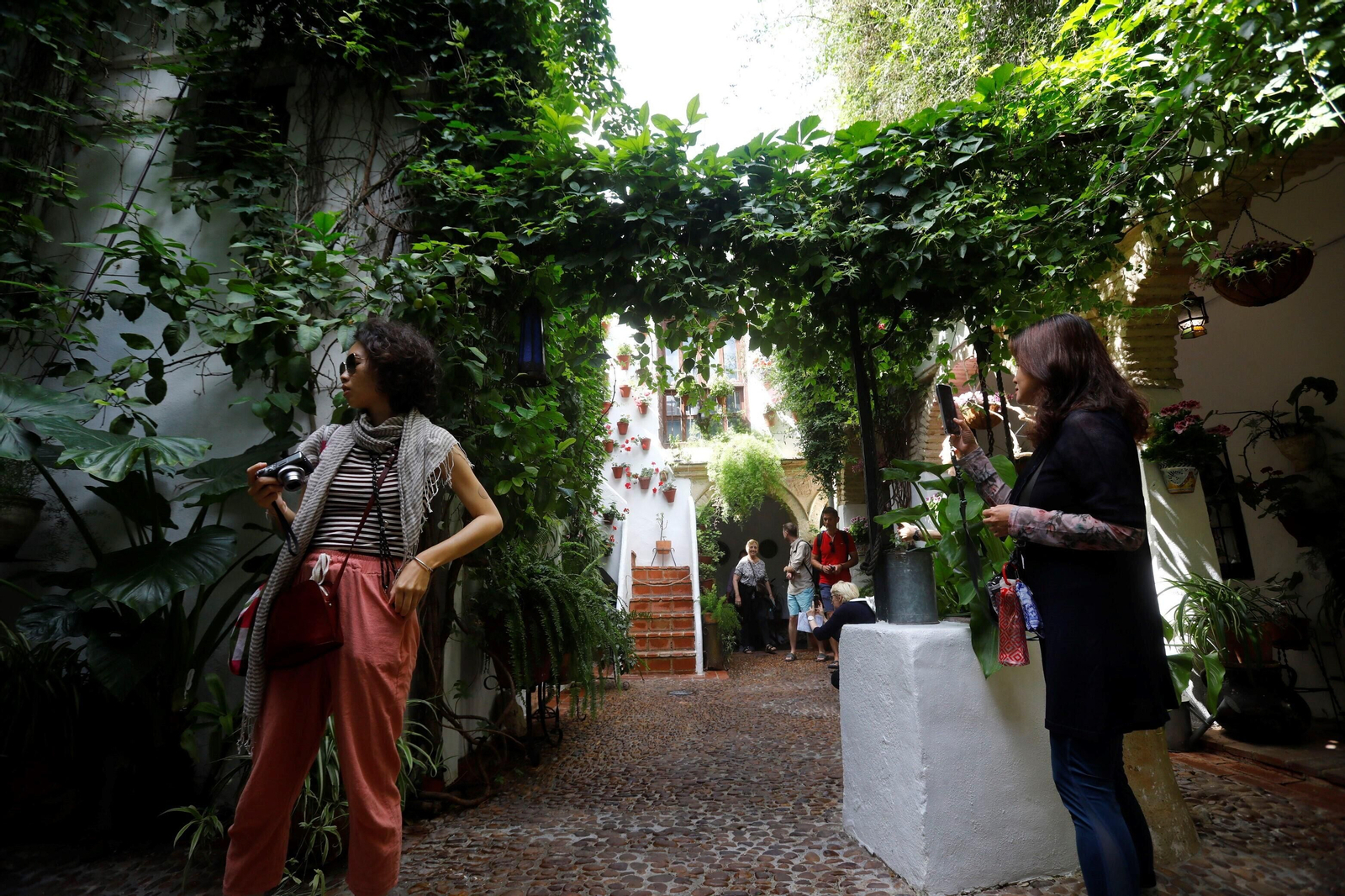 Los patios de Córdoba de la ruta Judería-San Francisco, en imágenes