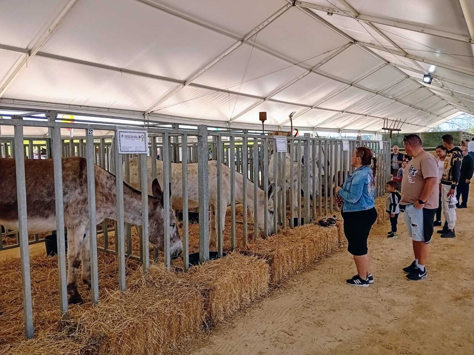 Búscate en las imágenes de la Feria de Vejer 2024