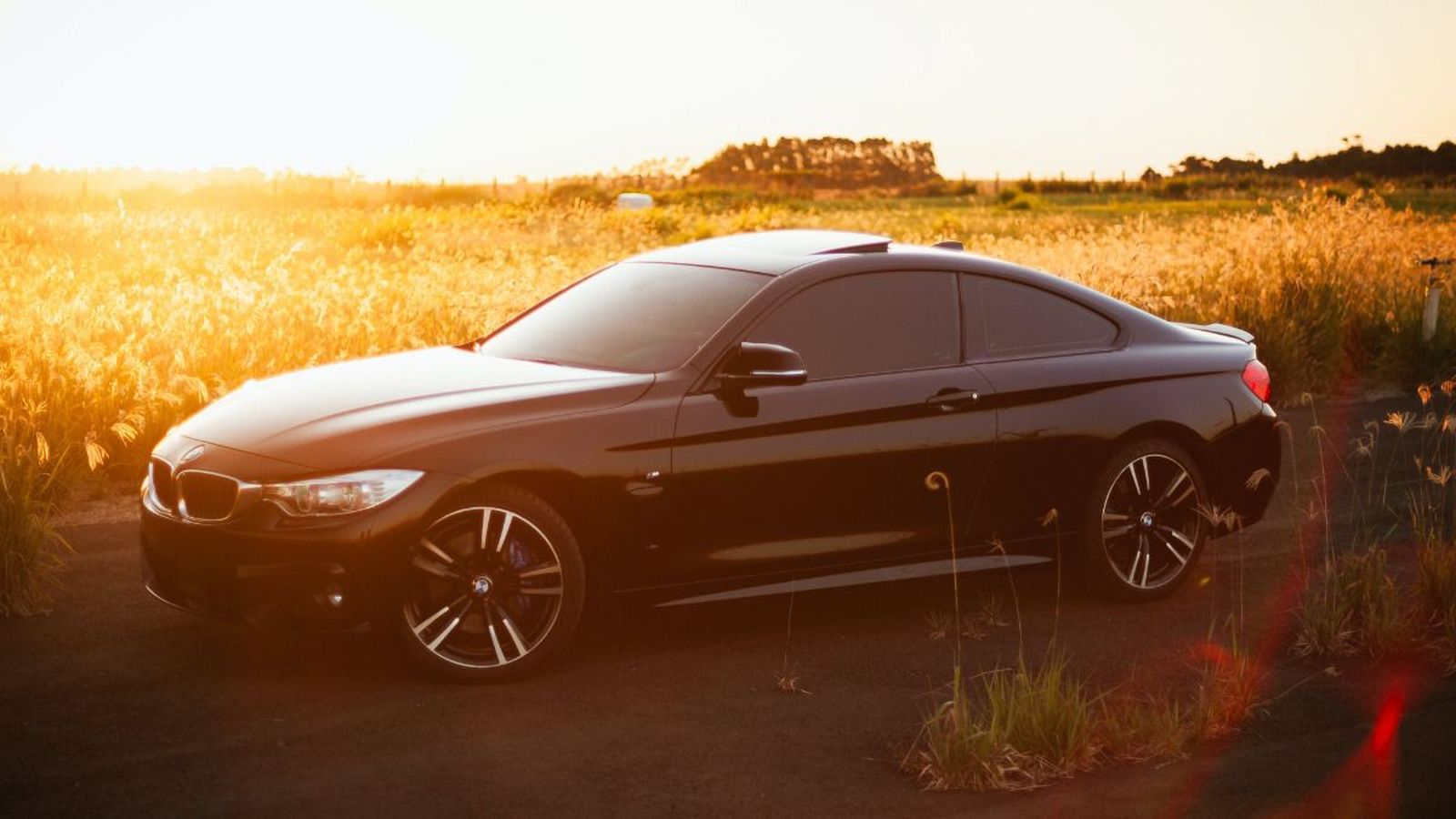 Explorando el mercado de coches de ocasión