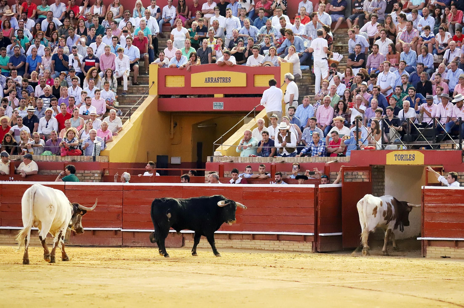 Imágenes de Morante de la Puebla, David de Miranda y Pablo Aguado en la Plaza de Toros La Merced