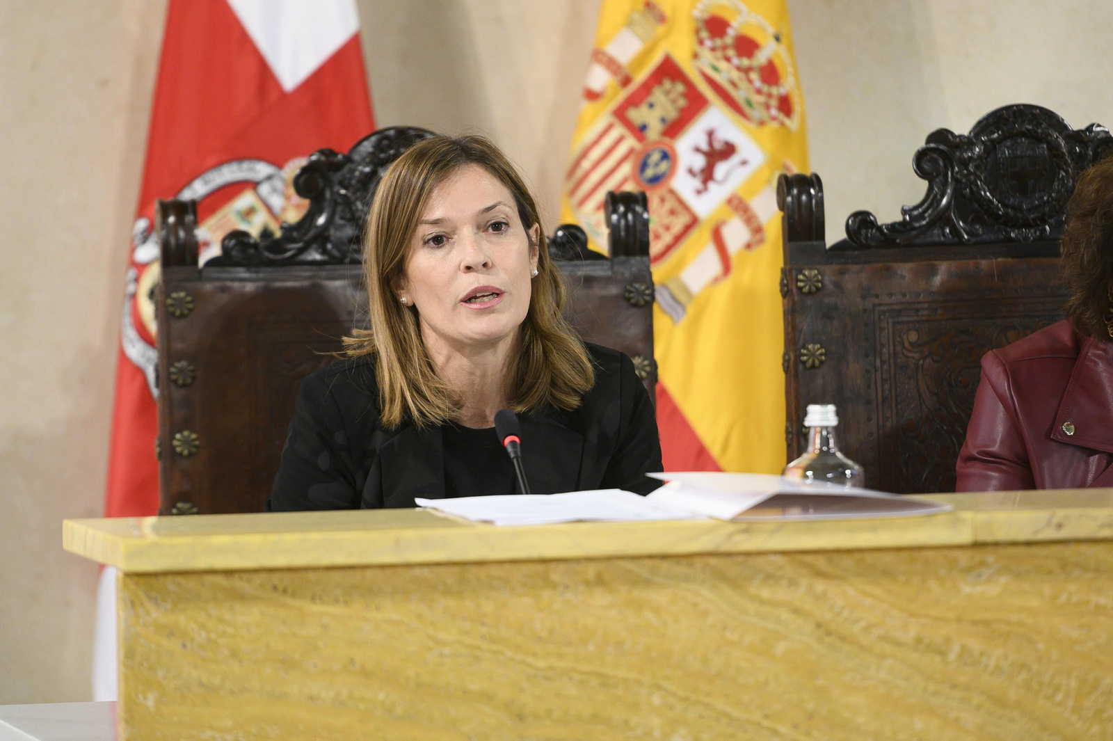 Ana Martínez Labella, concejal de Urbanismo, durante su intervención plenaria
