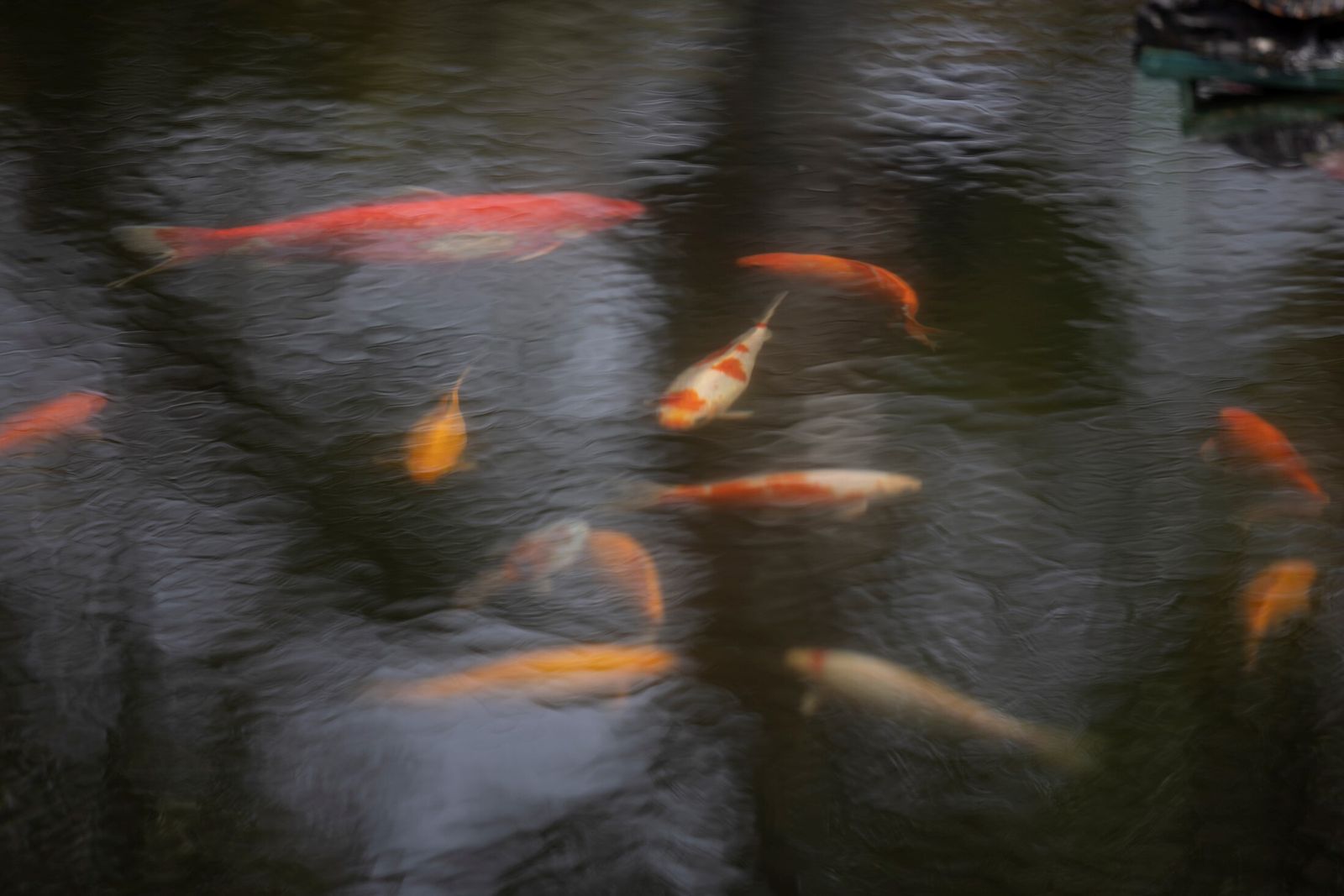 La bellas imágenes del Parque Botánico Celestino Mutis en la provincia de Huelva