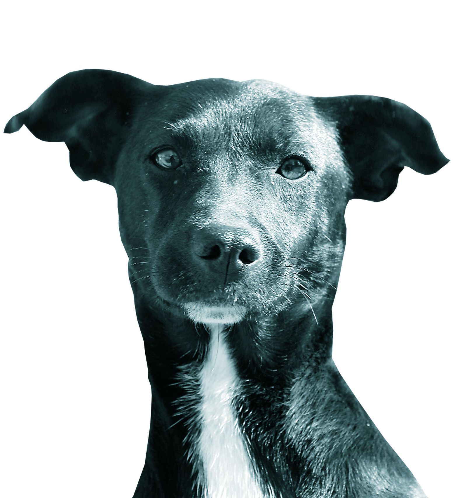 Chely, como Penélope, aguarda pacientemente…