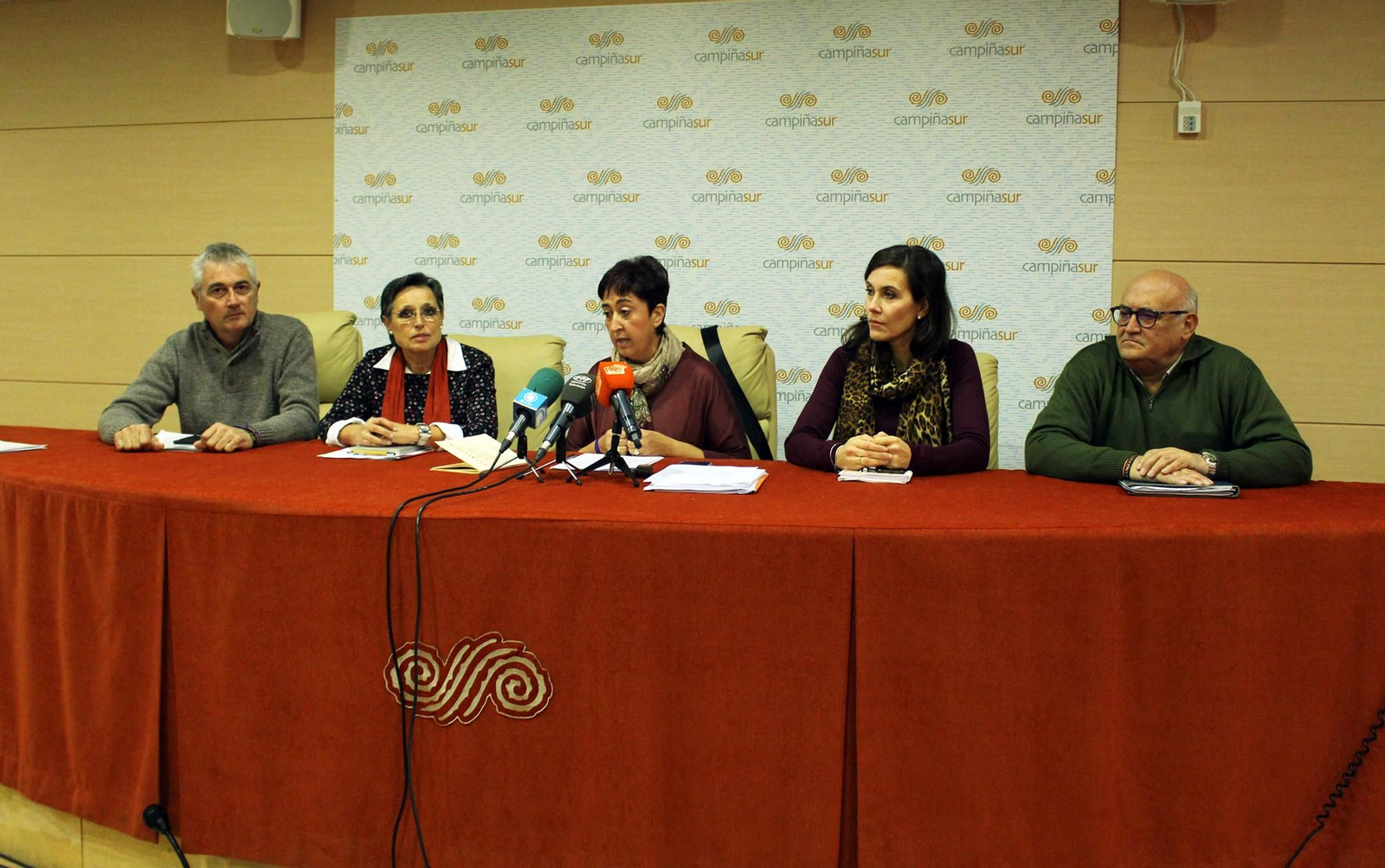 La presidenta de la Diputación, Francisca Carmona, interviene en el pleno comarcal.