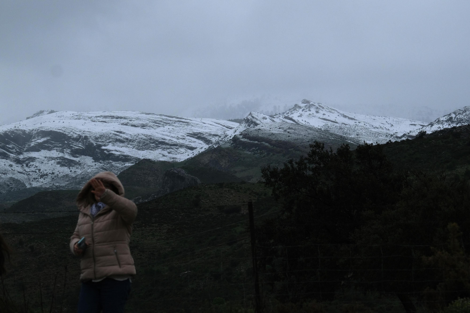 La nueva nevada  en el Parque Nacional Sierra de las Nieves, en fotos