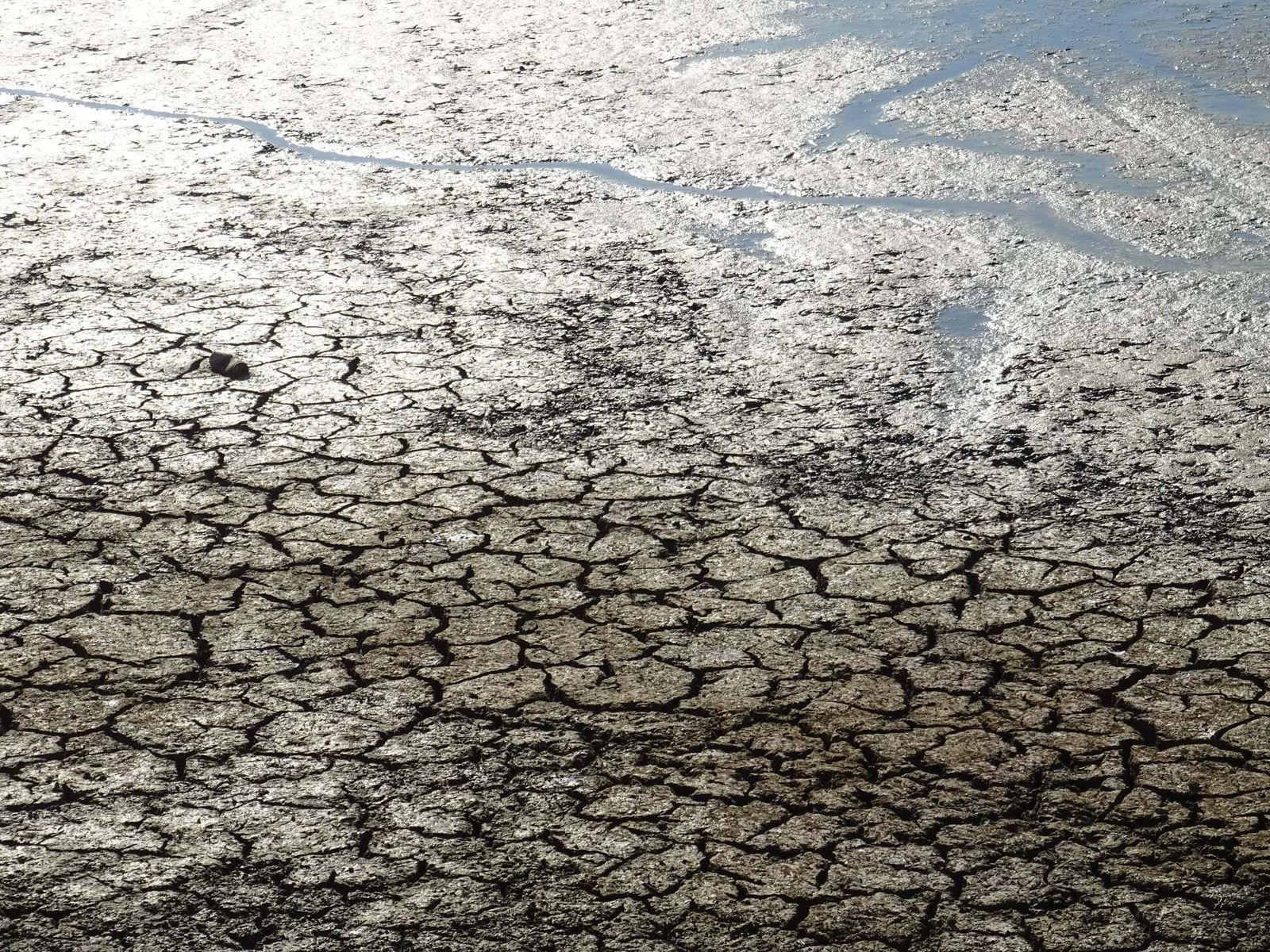 La Laguna de la Mejorada se seca