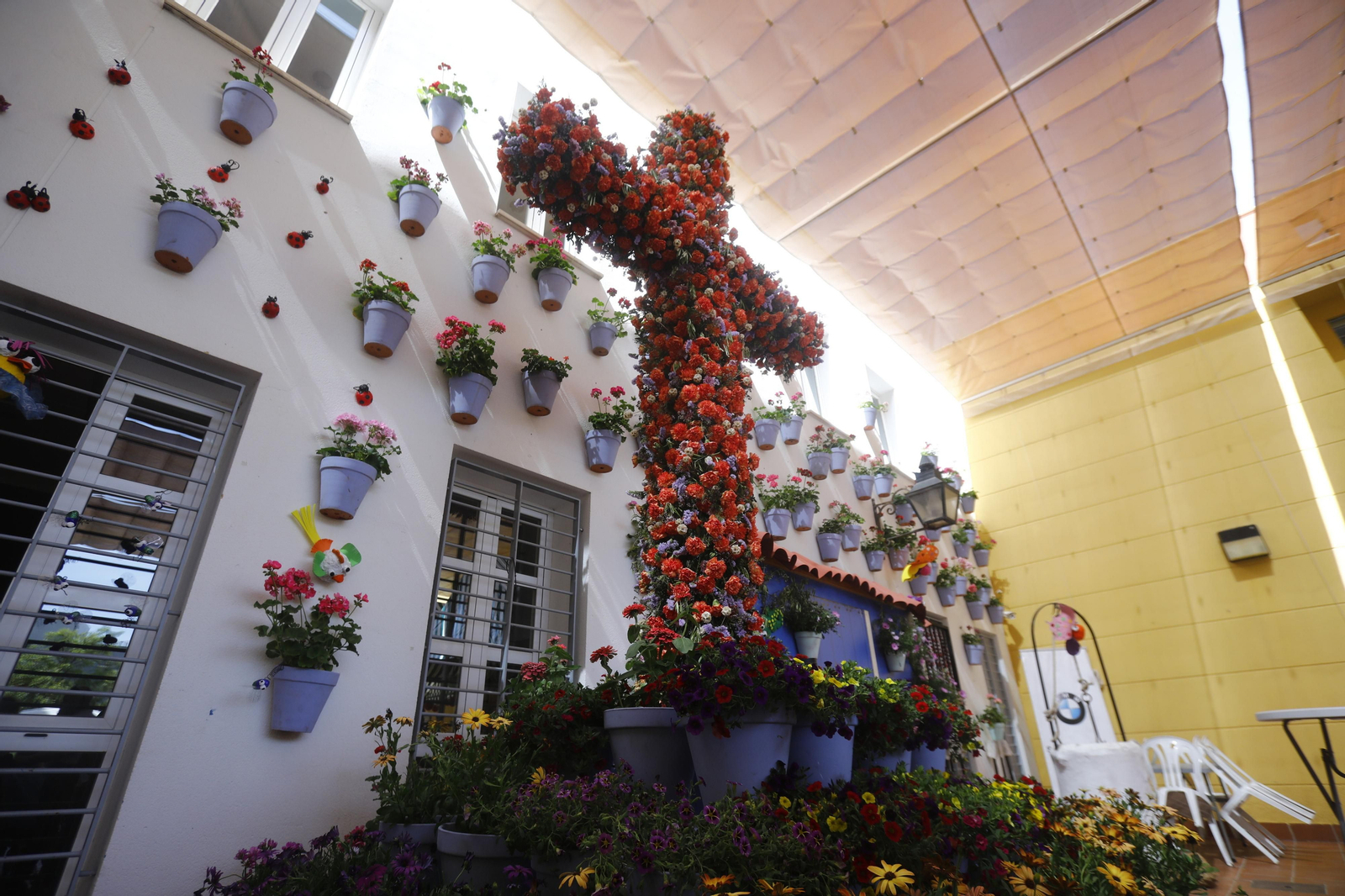 Cruz de Acpacys, primer premio de Recintos Cerrados.