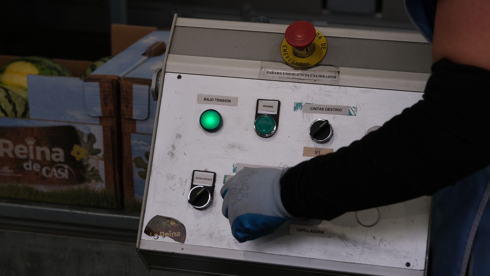 La IA llega a CASI, en imágenes