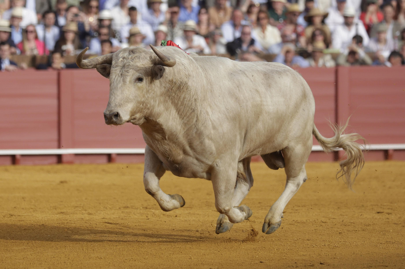 Las imágenes del la corrida del Domingo de Resurrección en la Maestranza de Sevilla