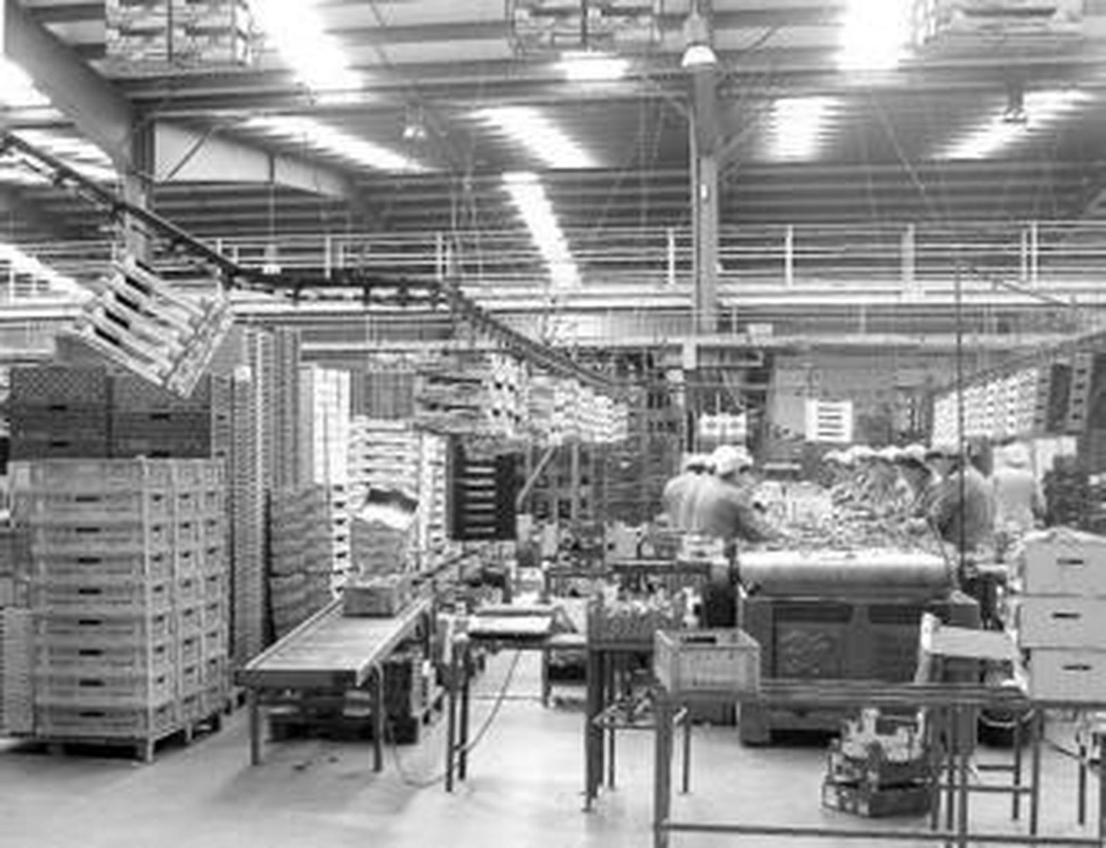 El objetivo es que las empresas sean más competitivas y salgan al exterior.