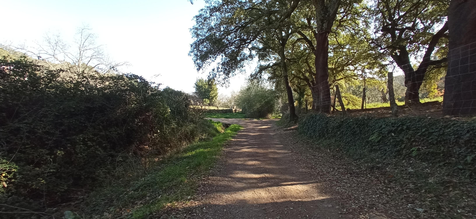 Las imágenes de la ruta de la cascada de Jollarancos y bosque de las letras