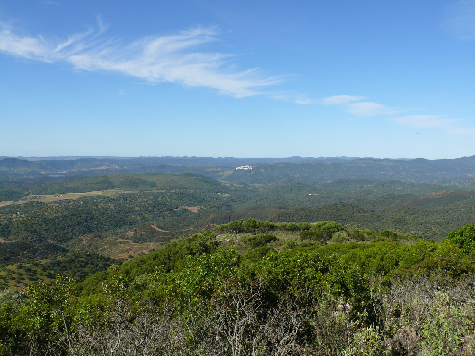 Las imágenes de la subida al Mojón en Santa Olalla